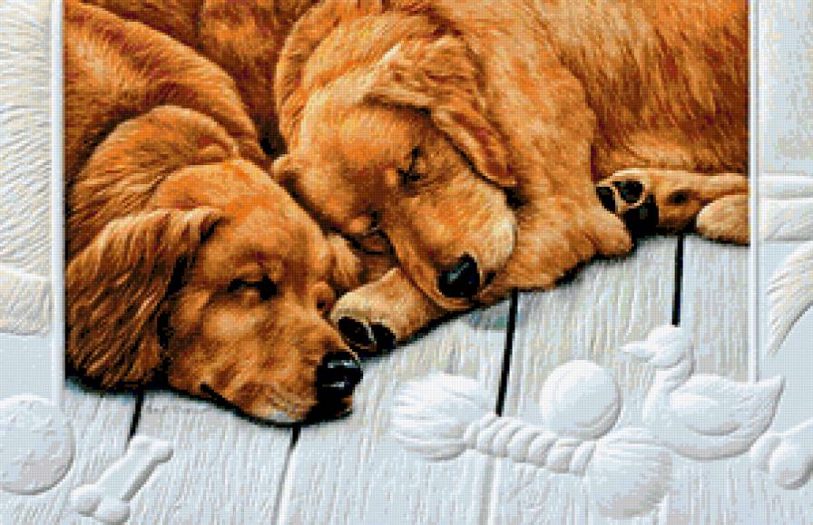 два друга - животные, игрушки, два друга, собака, собаки, сладкие сны - предпросмотр