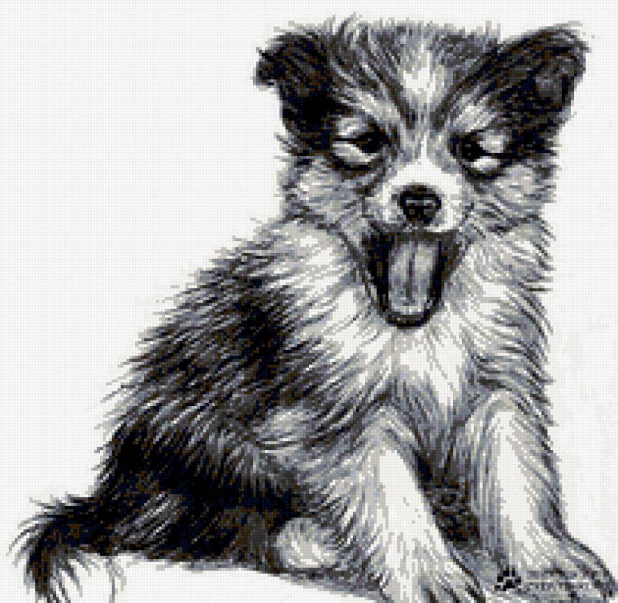 щенок - животные, монохром - предпросмотр