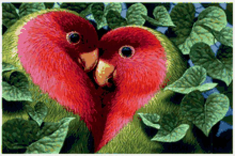 Сердце - птицы, сердце, попугаи - предпросмотр