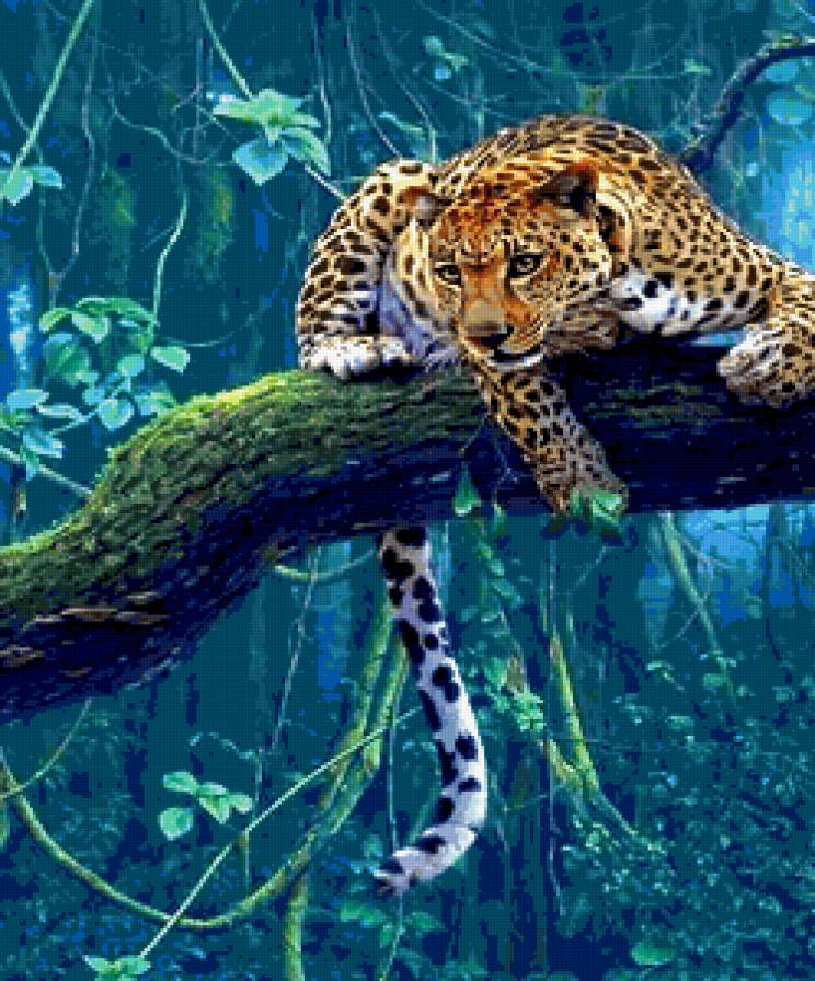 Ягуар - большие кошки, ягуар - предпросмотр