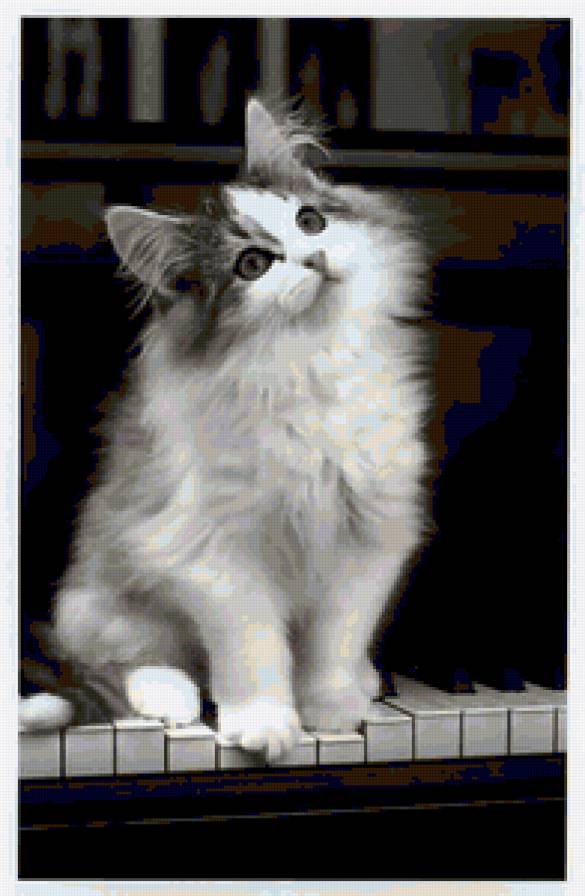 кошка - кошка - предпросмотр