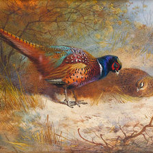 Схема вышивки «пара фазанов3»