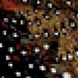 Предпросмотр схемы вышивки «фазан 2» (№410809)