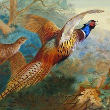 Схема вышивки «пара фазанов 4»