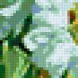 Предпросмотр схемы вышивки «пионы» (№411300)