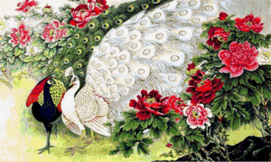 павлины - павлины, цветы - предпросмотр