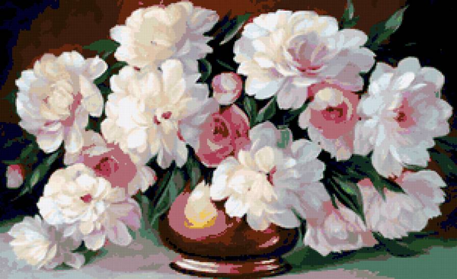 пионы - пионы, цветы - предпросмотр