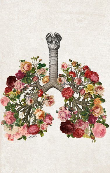 1 - оригинал