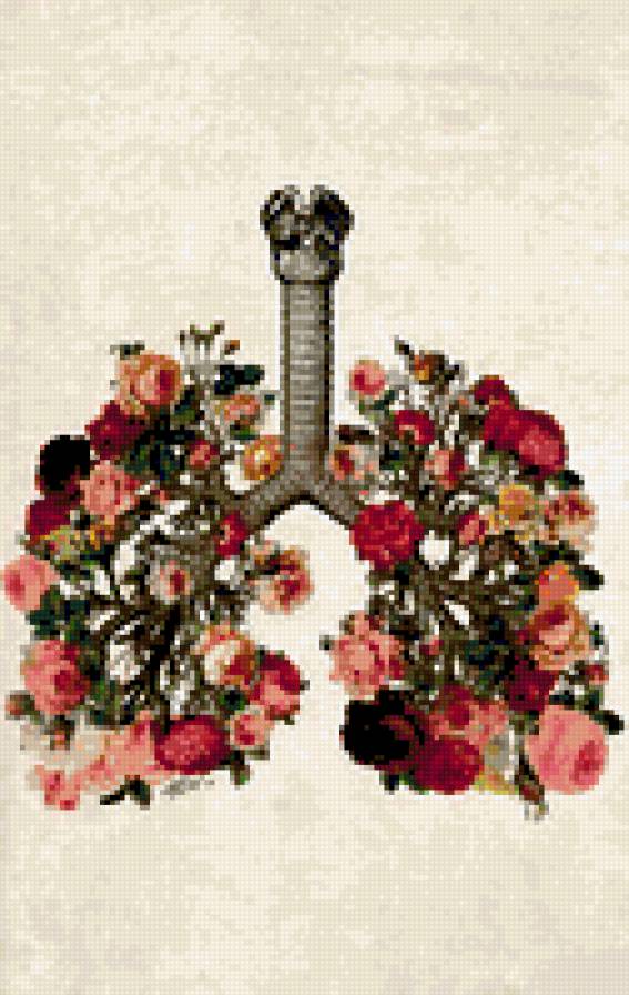 1 - предпросмотр