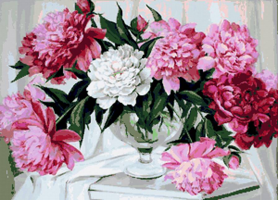 пионы - пионы, цветы - предпросмотр