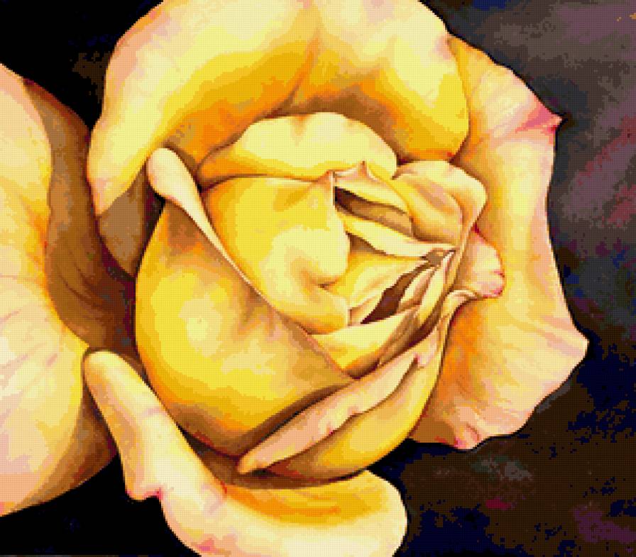 Серия "Букет" - цветы, розы - предпросмотр