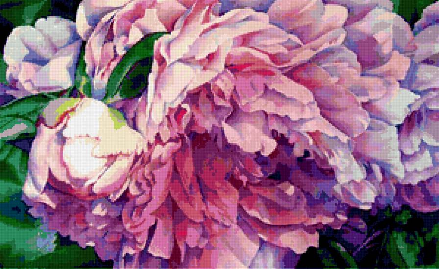 Серия "Букет" - цветы, пионы - предпросмотр