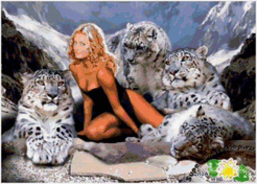 девушка с барсами - хищники, снег, барсы, девушка - предпросмотр