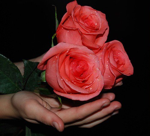 №411481 - оригинал