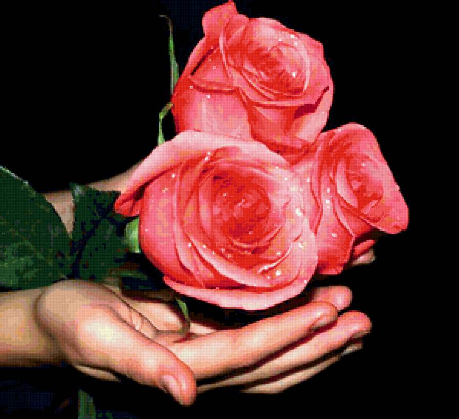 №411481 - предпросмотр