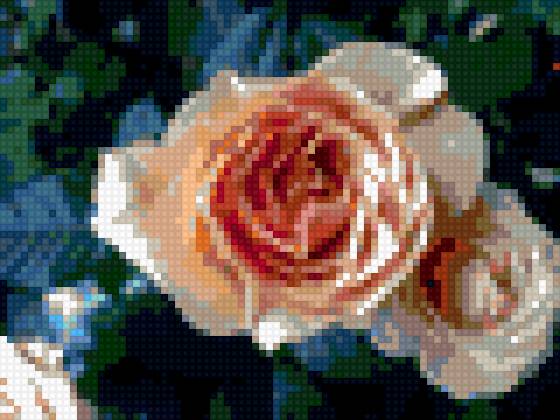 Роза - роза, розы, цветы, растения - предпросмотр