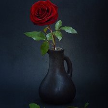 Схема вышивки «№411559»