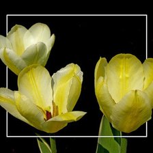 Схема вышивки «№411586»