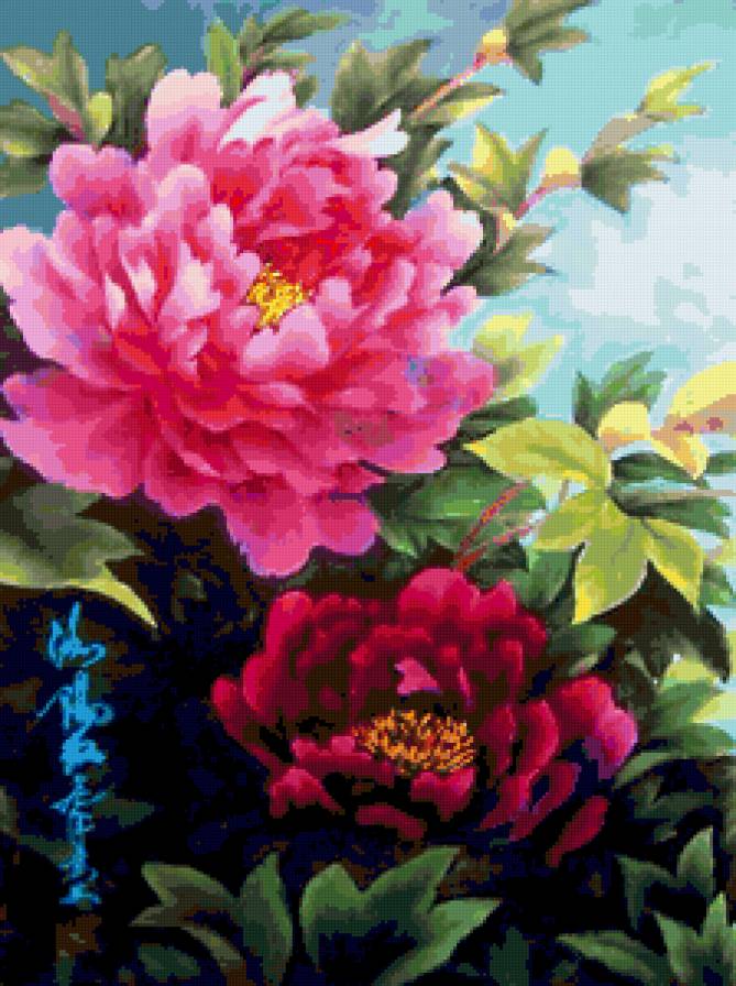 китайский пион - предпросмотр