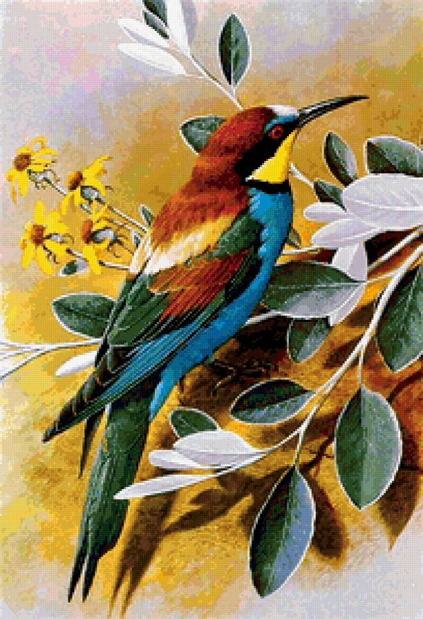 Серия "Пернатые" - природа, пейзажи, цветы, птичка, птицы - предпросмотр