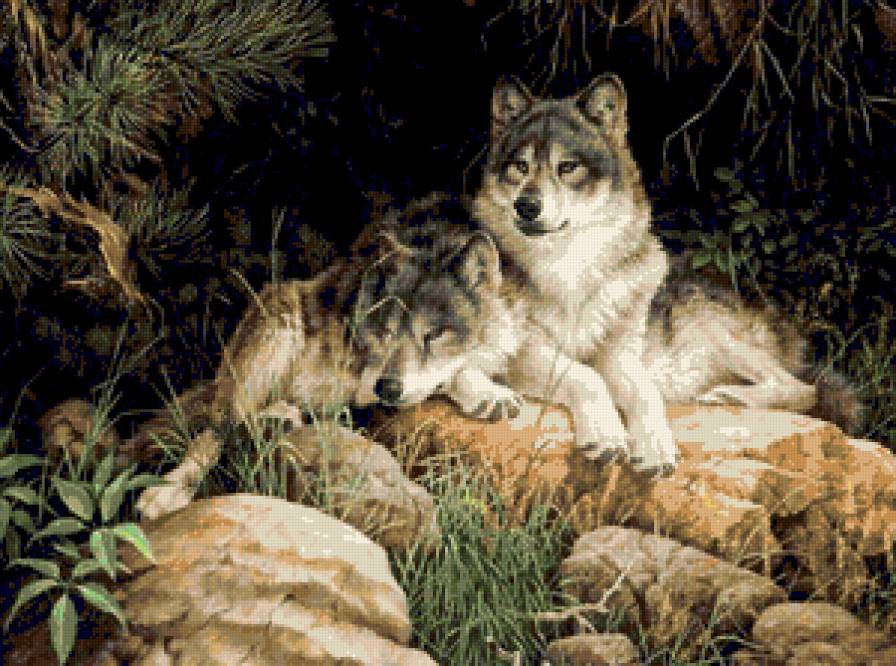 волки - волки - предпросмотр