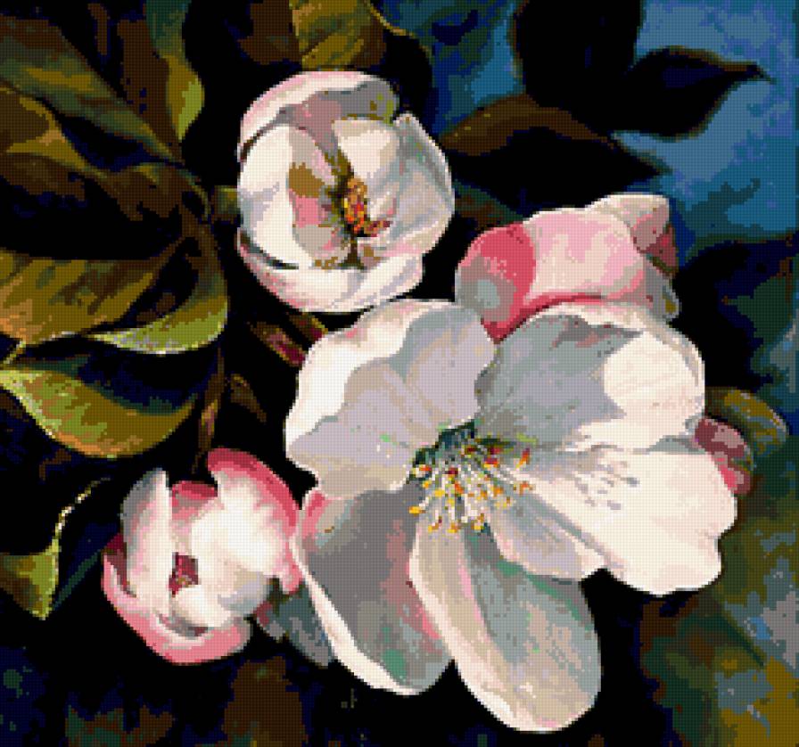 цветы - цветы - предпросмотр