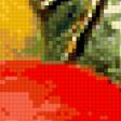Предпросмотр схемы вышивки «яблоки» (№411860)