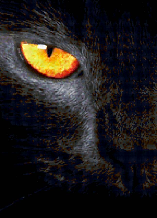 кошка - предпросмотр