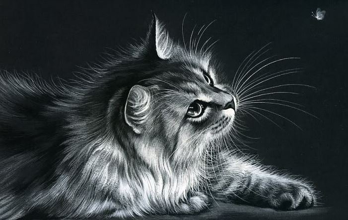 №412198 - оригинал