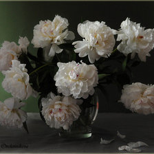 Схема вышивки «Цветы и натюрморты от Юлии Овчинниковой»