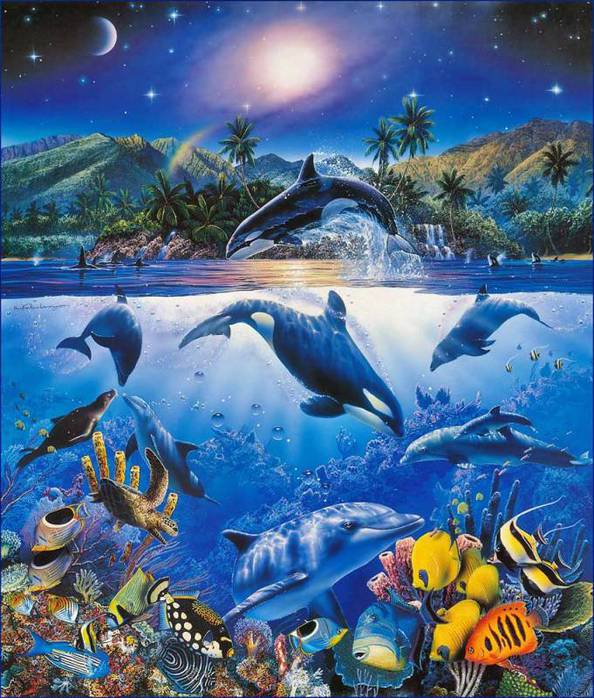 Прекрасный мир - дельфин, касатка, рыбки, океан - оригинал