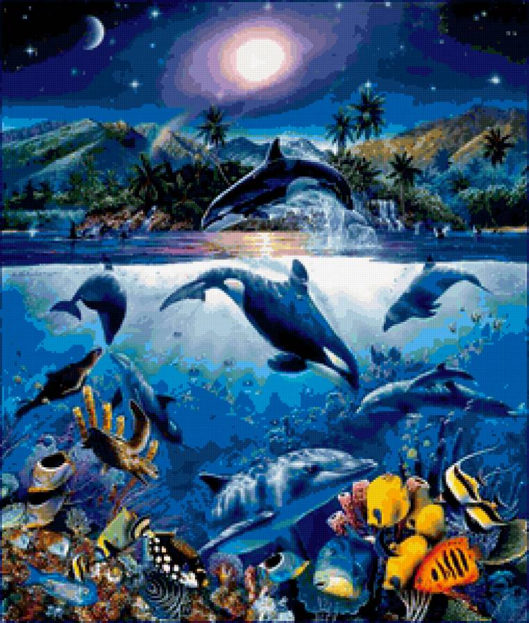 Прекрасный мир - дельфин, касатка, океан, рыбки - предпросмотр