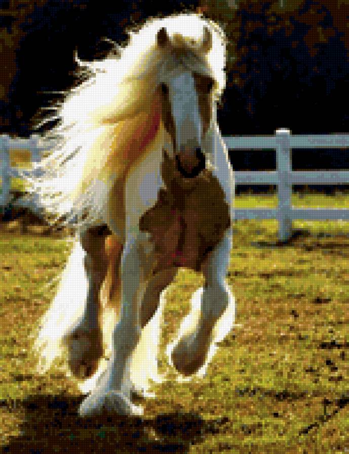 Лошадь - животные, лошади - предпросмотр