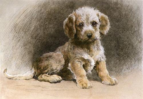 щеночек - собаки - оригинал