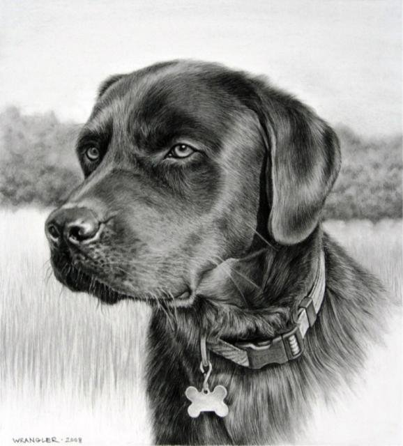 пес - собаки - оригинал