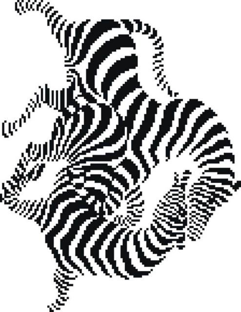зебры - дикие животные - оригинал