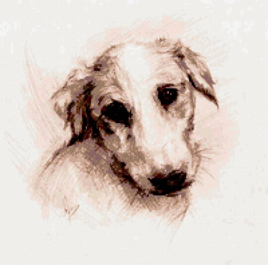 жужа - собаки - предпросмотр