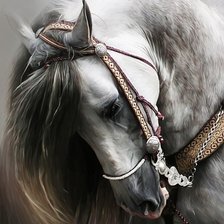 Оригинал схемы вышивки «лошадь» (№412699)