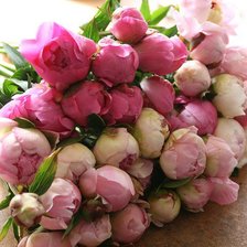 Схема вышивки «пионы букет»