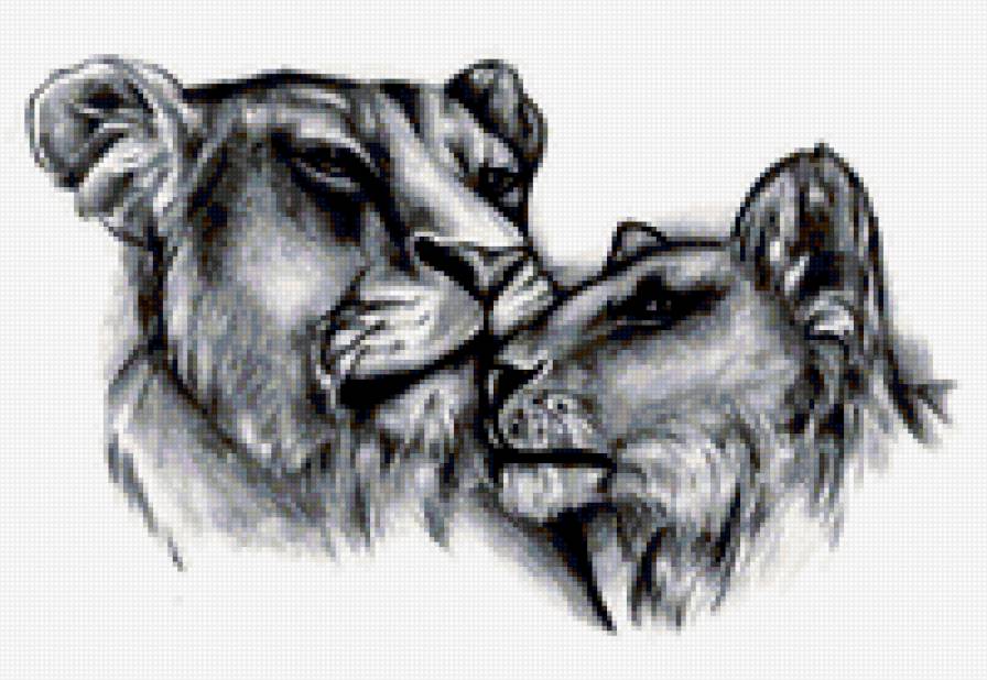 львы - черно белое, рисунок, львы - предпросмотр