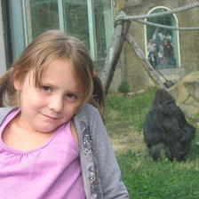 Схема вышивки «вика»