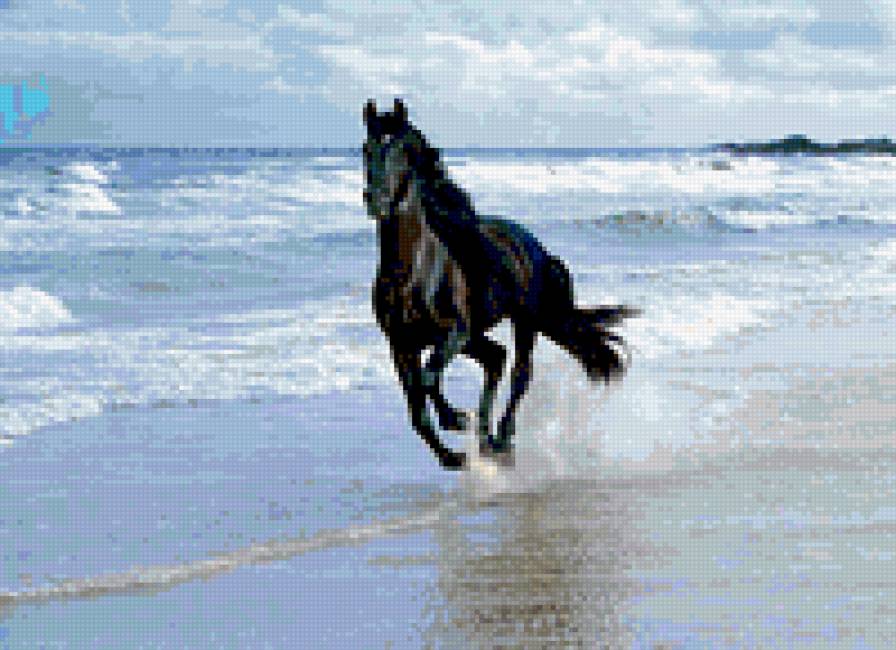 Конь - животные - предпросмотр