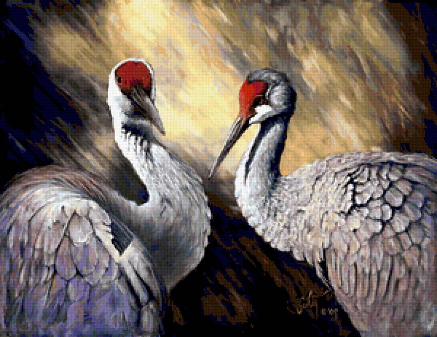 Аисты - аисты, пара - предпросмотр