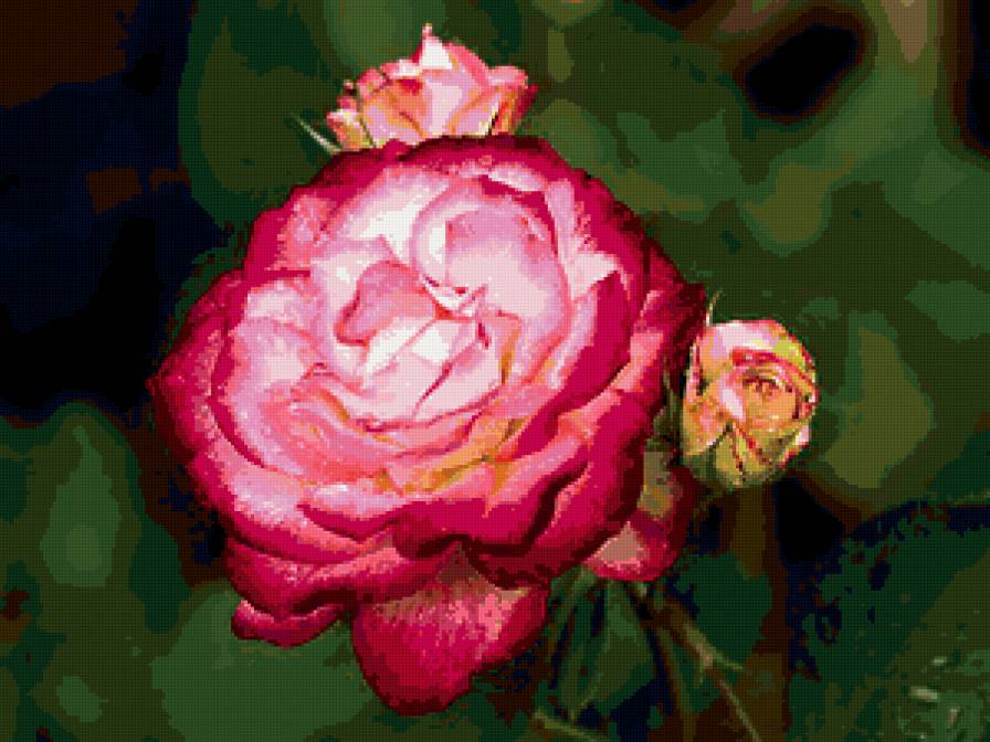 розы - розы, цветы, роза, цветок - предпросмотр