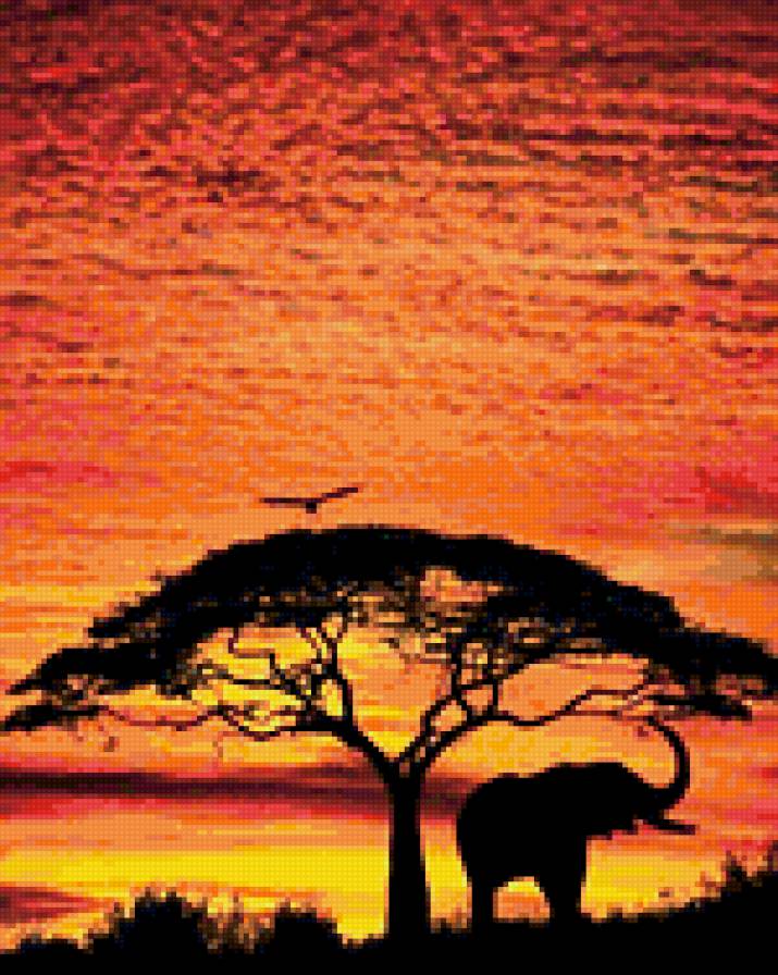 Африка - африка, слон, восход, закат - предпросмотр