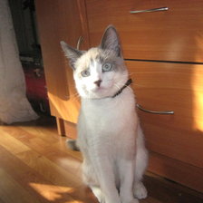 Схема вышивки «2»