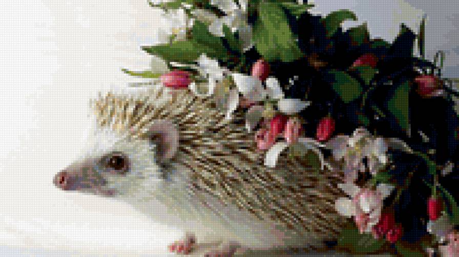 еж в цветах - животные - предпросмотр