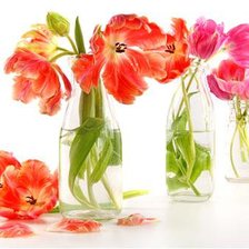 Схема вышивки «тюльпаны»