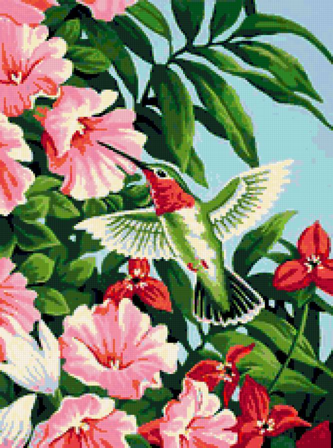колибри - цветы, колибри - предпросмотр