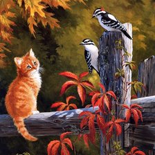 Рыжий котенок и дятлы